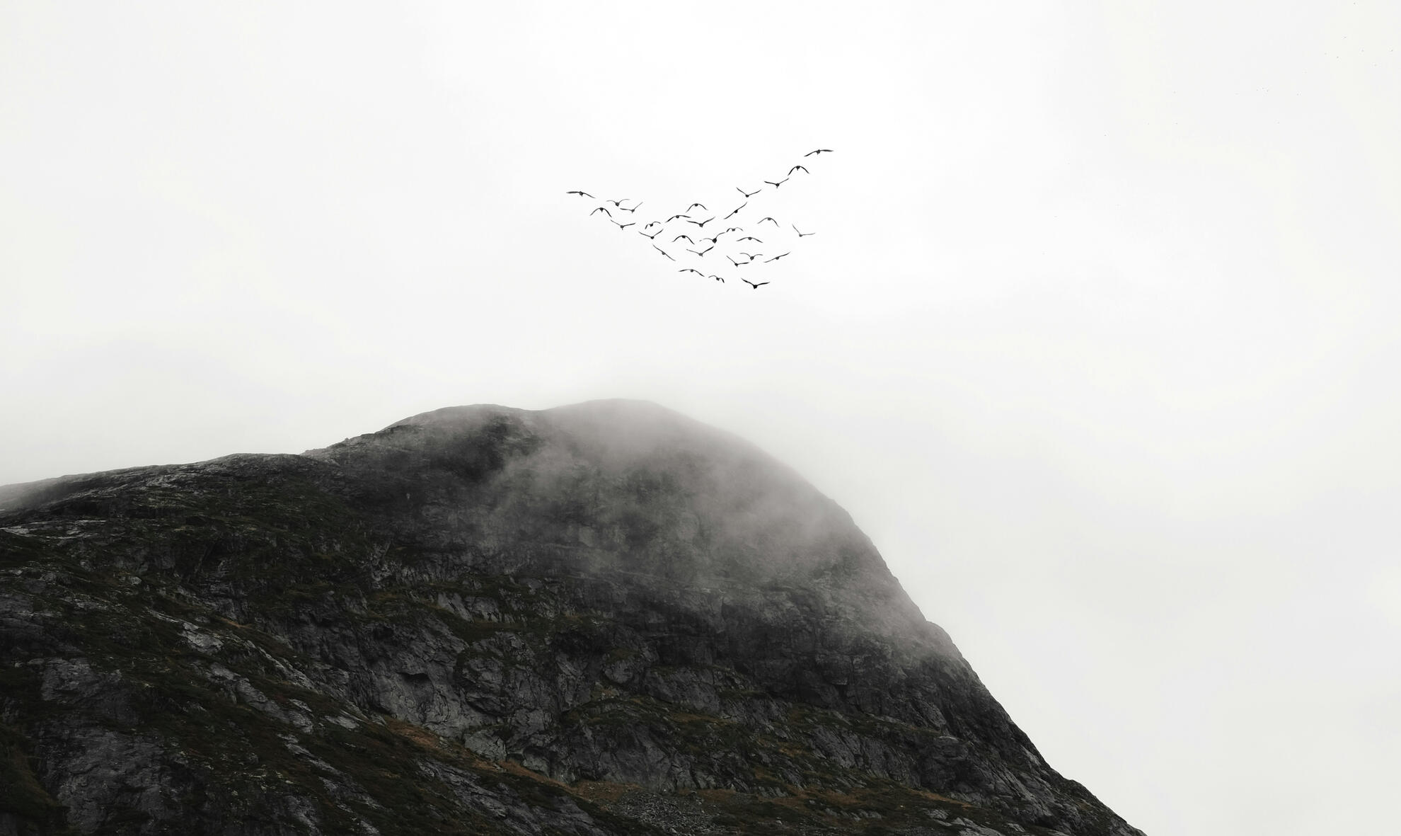 Vision © Fredrik Solli Wandem